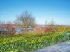 Blick auf die Schlei